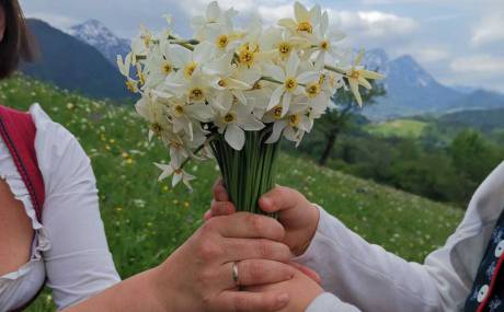 Event im MONDI Resort Grundlsee: Schaustecken der Narzissenfigur