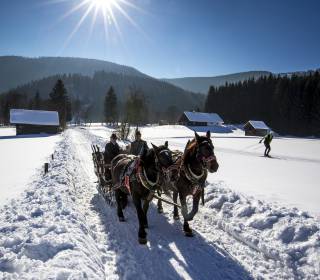 Pferdekutschfahrt Grundlsee WInter