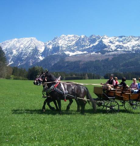 Event im MONDI-Resort Grundlsee: Horse drawn carriage ride